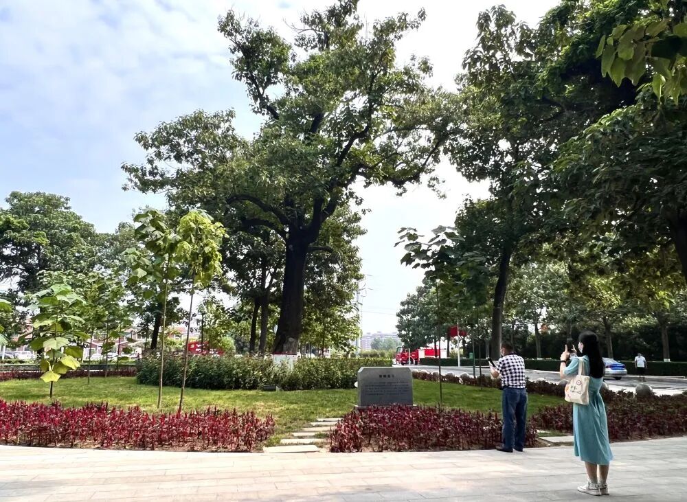 图片4.jpg 图片4.jpg